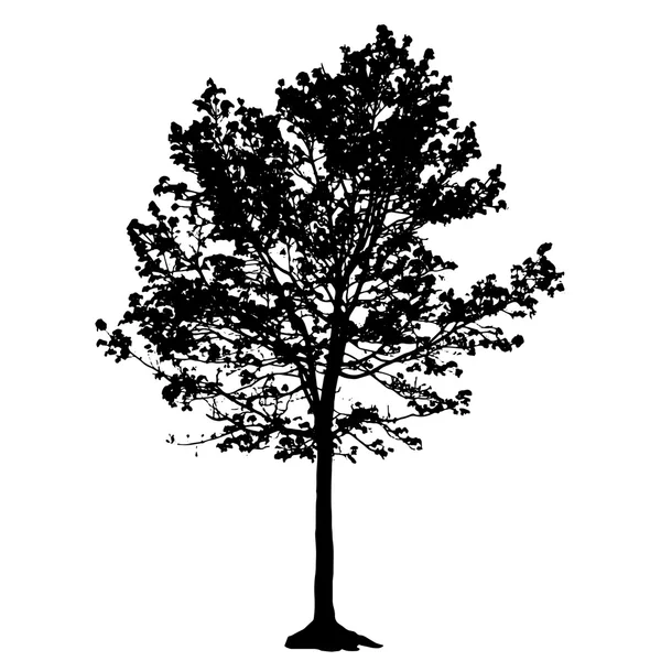 Silhouette d'arbre — Image vectorielle