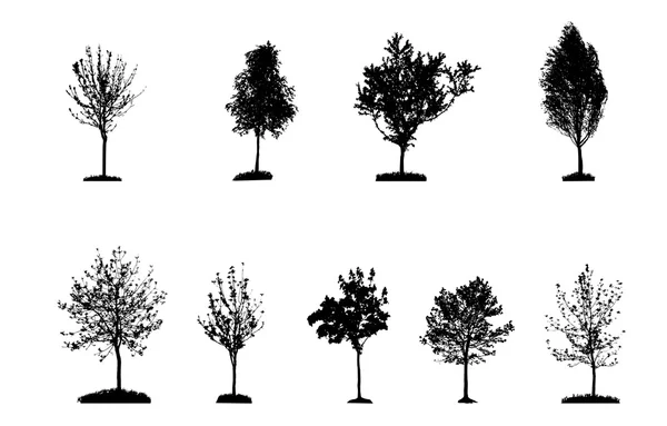 Ensemble de silhouettes d'arbres — Image vectorielle