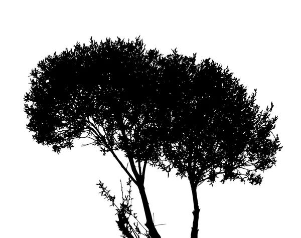 Silhouette d'arbre — Image vectorielle