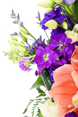 Beyaz arkaplanda izole edilmiş renkli çiçekler.