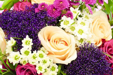 Beyaz arkaplanda izole edilmiş renkli çiçekler.