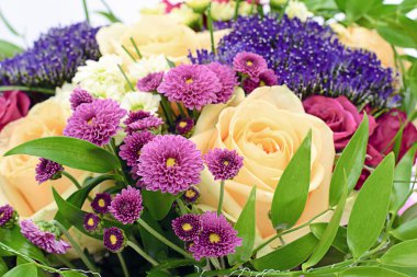 Beyaz arkaplanda izole edilmiş renkli çiçekler.