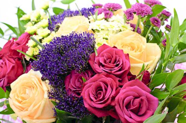 Beyaz arkaplanda izole edilmiş renkli çiçekler.