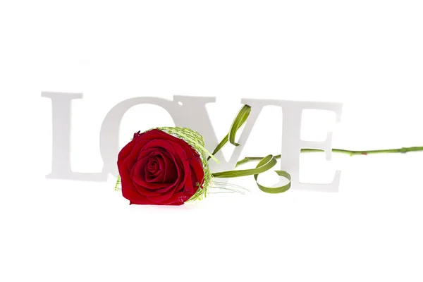 Rose with LOVE Word Isolated on White Background — Stock Photo, Image