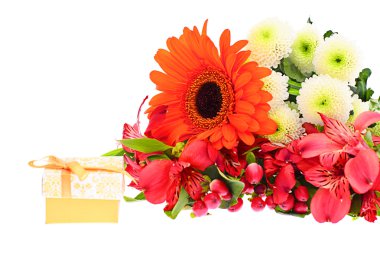 Beyaz arkaplanda izole edilmiş renkli çiçekler.