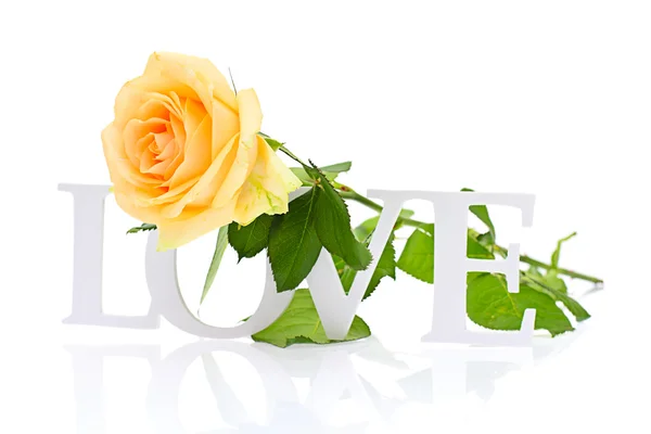 Rose mit Liebeswort isoliert auf weißem Hintergrund — Stockfoto