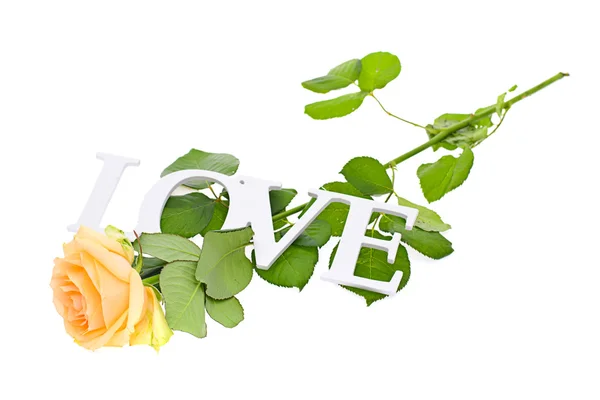 Rose mit Liebeswort isoliert auf weißem Hintergrund — Stockfoto