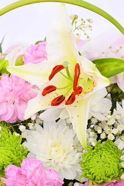 Цветочный букет цветов на белом фоне — стоковое фото