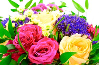 Beyaz arkaplanda izole edilmiş renkli çiçekler.