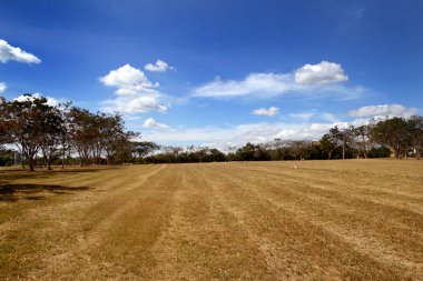 manzara mavi gökyüzü, bulutlar, otlak, dağlar karşı