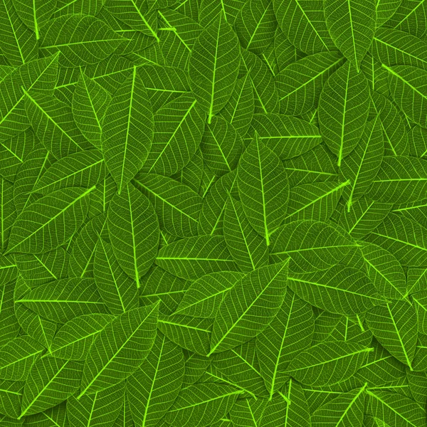 Green transparent leaf pattern — Stock Photo, Image