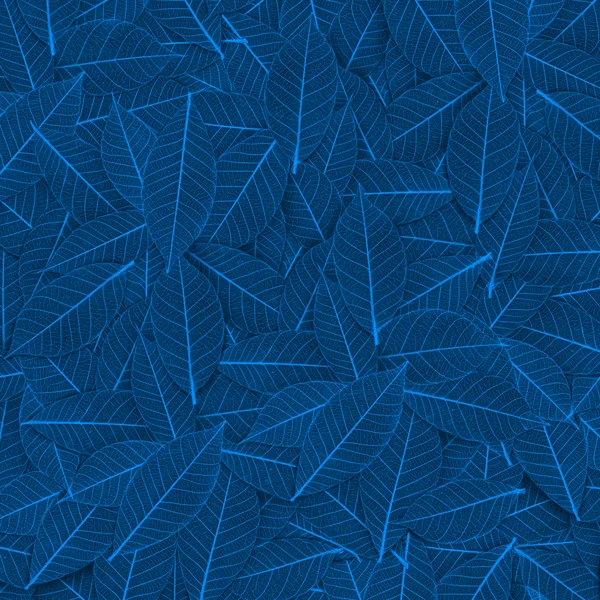 Blauw transparant blad patroon — Stockfoto
