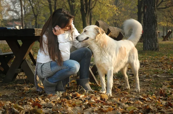 Woman talking to a dog in autumn park — Stock Photo, Image