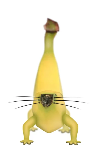 Genetically modified banana with legs and whiskers — Stock Photo, Image