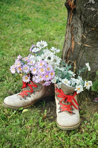 Kwiaty w stare buty — Zdjęcie stockowe