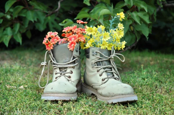 Red and yellow flowers in old shoes — Stock Photo, Image