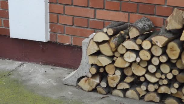 Pile of wood logs — Stock Video