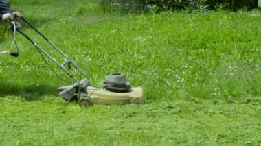 eski makine ile çim biçme