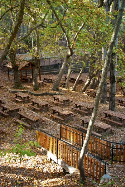 Oak forest piknik alanları