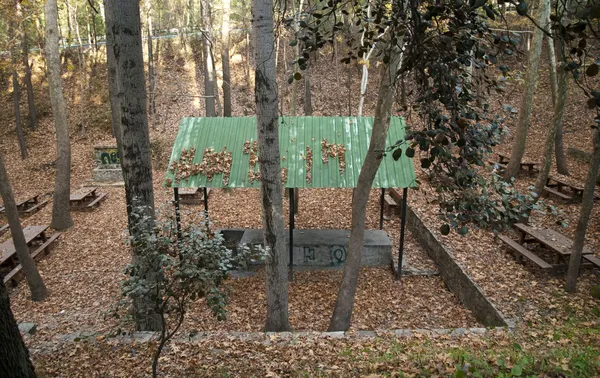 Oak forest picnic site — Stock Photo, Image