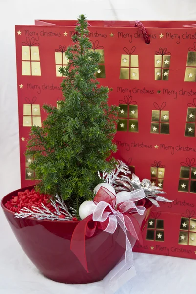 Christmas decoration tree in red pot — Stock Photo, Image