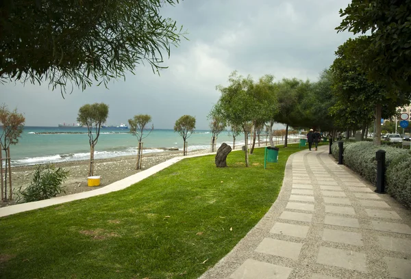 Coastal park alley Limassol,Cyprus — Stock Photo, Image