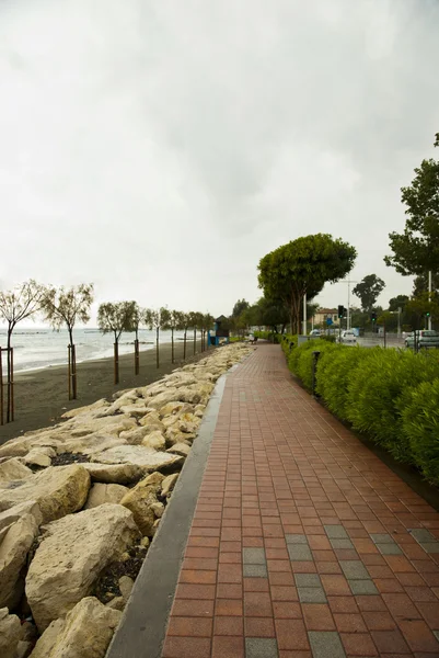 Küstenpark Allee limassol, cypru — Stockfoto