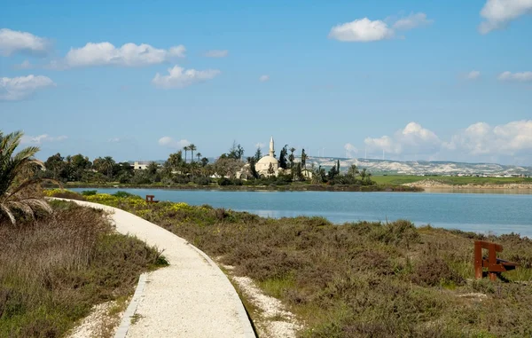 Lago salato — Foto Stock