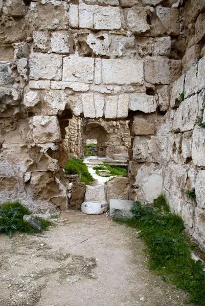 Ruinerna i gamla salamis — Stockfoto