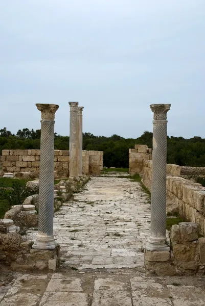 Ancient Ionian column in Salamis — Stock Photo, Image