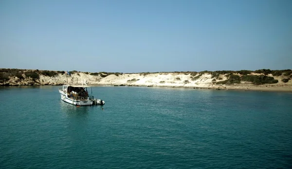 Crucero — Foto de Stock