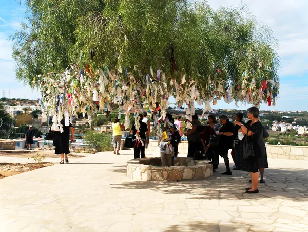 Trees with notes to God Stock Picture