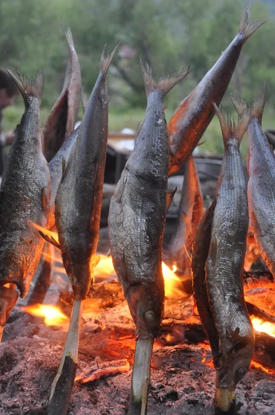 Poisson frit sur un feu Images De Stock Libres De Droits