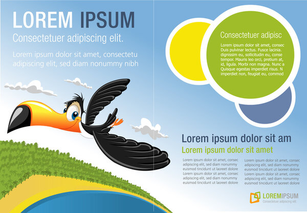 Тукан пролетел над пляжем в Бразилии
