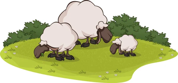 Cartoon Sheep Grazing Sheep Grass Field — Stock Vector