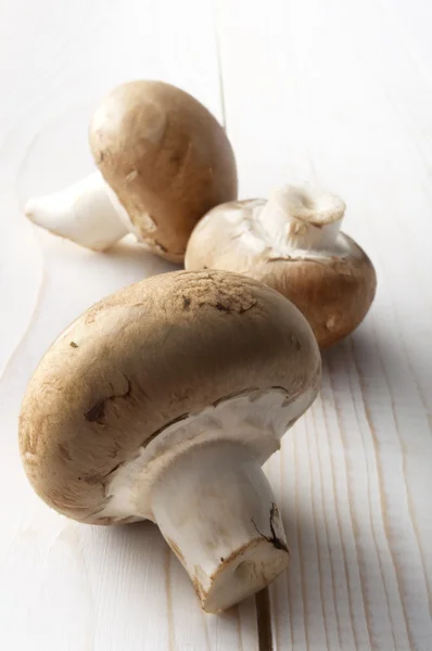 mantar beyaz bir tablo