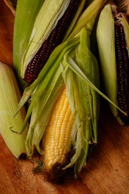 Polisler siyah ve sarı tohum yığını Tahta arka planda taze mısır