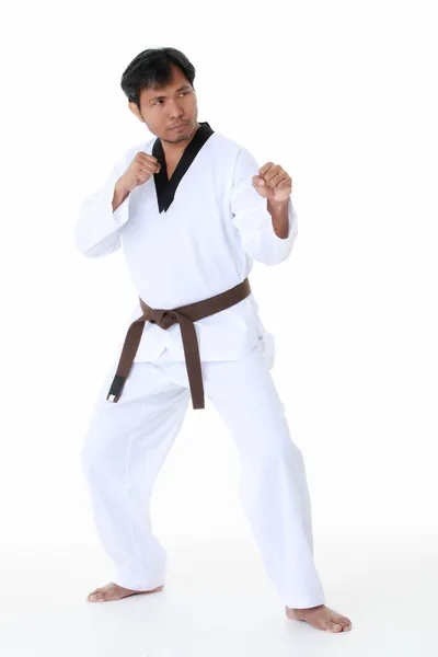 Isolerat Porträtt Studio Skott Asiatiska Medelålders Manliga Tae Kwan Karate — Stockfoto