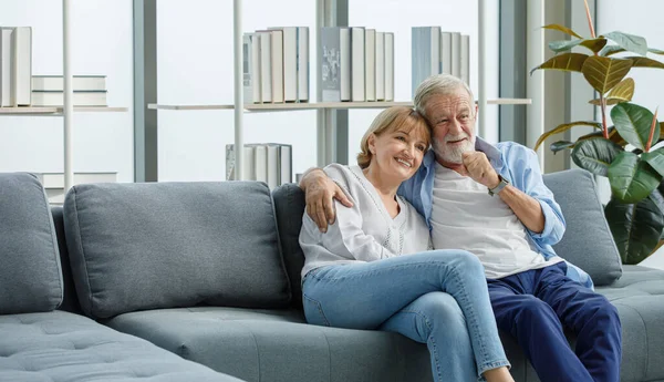 Caucasian old senior romantic aged lover couple in casual wear gray bearded and hair grandpa husband and lovely grandma wife sitting smiling cuddling hugging together on sofa.
