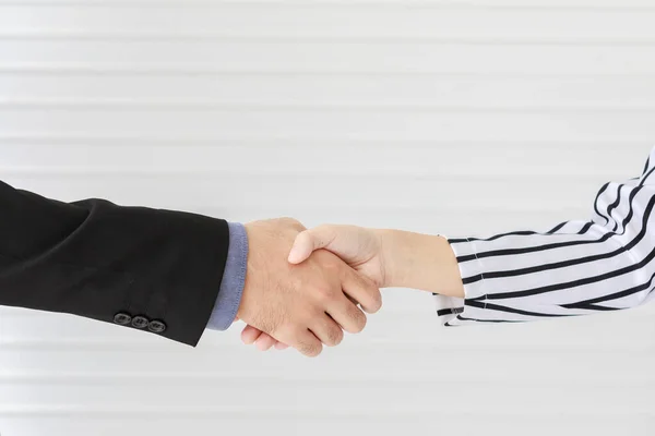 Closeup shot of handshaking on success business strategy term decision agreement at meeting of male and female businessperson wears black and white stripe formal suit in front wall background.