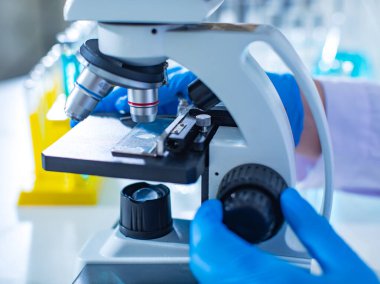 Mikroskop altında mikroskop altına yerleştirilen kusurlu mikrobiyoloji numunesinin yakın plan çekimi koruyucu güvenlik eldiveni takan bilim adamı elleri laboratuara odaklanan kamerayı düzeltirken.