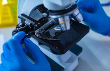 Mikroskop altında mikroskop altına yerleştirilen kusurlu mikrobiyoloji numunesinin yakın plan çekimi koruyucu güvenlik eldiveni takan bilim adamı elleri laboratuara odaklanan kamerayı düzeltirken.