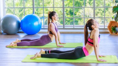 İki bin yıllık Asya 'lı genç, sağlıklı, sağlıklı, güçlü, seksi, spor modelleri spor kıyafetleri içinde sırt üstü uzanmış pilates sınıfındaki yoga minderinde köpek pozu veriyorlar..