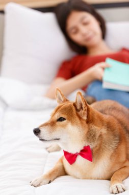 Kırmızı papyon takan sevimli, güzel, akıllı, Shiba Inu köpeği. Yan yana yatmış, günlük kıyafetlerle Asyalı genç bir kızı koruyor. Yatakta uzanıyor, bulanık arka planda uyuyor..