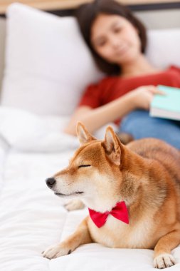 Kırmızı papyon takan sevimli, güzel, akıllı, Shiba Inu köpeği. Yan yana yatmış, günlük kıyafetlerle Asyalı genç bir kızı koruyor. Yatakta uzanıyor, bulanık arka planda uyuyor..