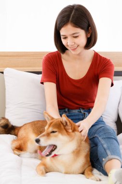 Yatak odasında kırmızı papyon takmış, şirin, kahverengi Shiba Inu köpeğinin portre resmi. Asyalı kadın sahibi gülümseyen, bulanık arka planda birbirine sarılmış gülümseyen kameraya bak..