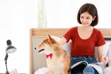 Küçük sevimli, akıllı, akıllı Japon Shiba Inu köpeği kırmızı papyon takıyor ve Asyalı genç bayan sahibi yatak odasında yastık kitap ve tablete yaslanıyor..
