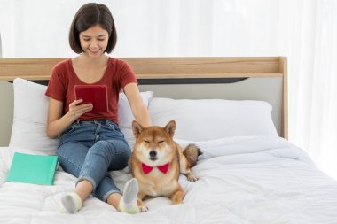 Küçük sevimli, akıllı, akıllı Japon Shiba Inu köpeği kırmızı papyon takıyor ve Asyalı genç bayan sahibi yatak odasında yastık kitap ve tablete yaslanıyor..