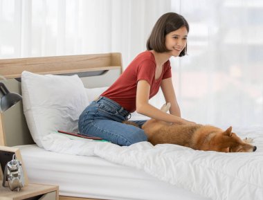 Küçük sevimli, akıllı, akıllı Japon Shiba Inu köpeği kırmızı papyon takıyor ve Asyalı genç bayan sahibi yatak odasında yastık kitap ve tablete yaslanıyor..