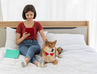 Küçük sevimli, akıllı, akıllı Japon Shiba Inu köpeği kırmızı papyon takıyor ve Asyalı genç bayan sahibi yatak odasında yastık kitap ve tablete yaslanıyor..